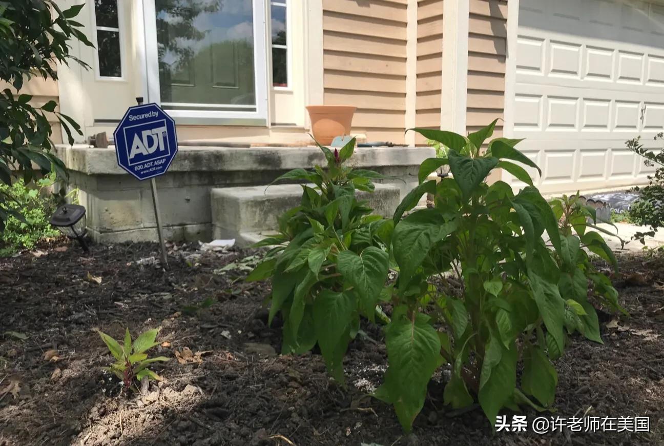 境外去海外生活好吗，境外去海外生活好吗现在