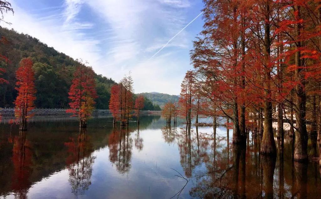 湖北钟祥市属于哪个区？