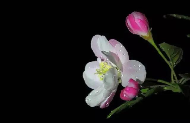 [黑色壁纸全黑]电脑屏幕总是自动变成黑色背景？