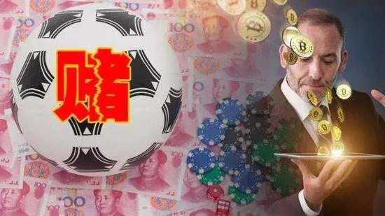 懂技术app开发公司