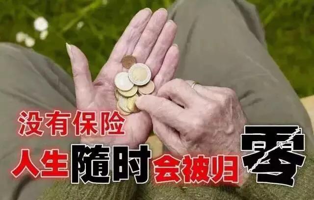 个人保险，个人保险查询