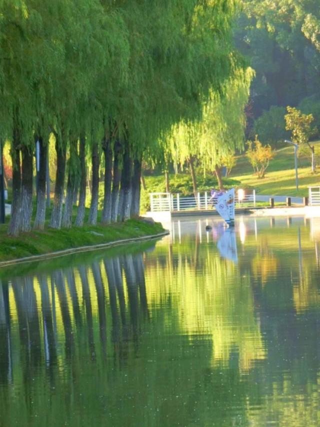 青摄影（谷雨春光晓，山川黛色青。叶间鸣戴胜，泽水长浮萍。摄影如何拍？）
