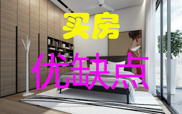 3年大额存单20万哪个银行利率高？：三孩妈20多万买房子