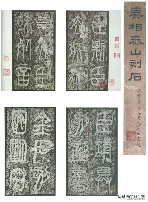 新草书字体教程字帖大全