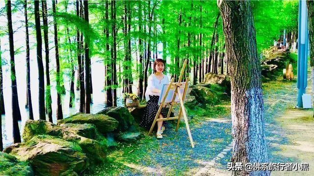 苏州市哪个公园最好看的
