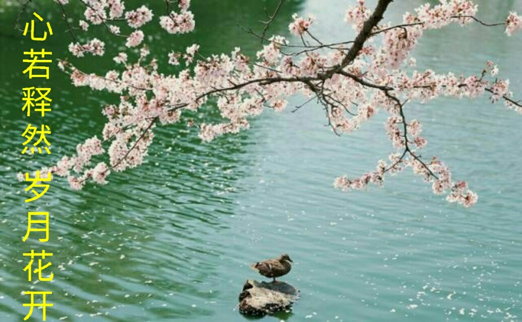 怎么破解怎么破解别人的wifi密码并看到密码呢 怎么破解怎么破解别人的wifi密码并看到密码呢