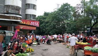 桂林市文化宫属于哪个区