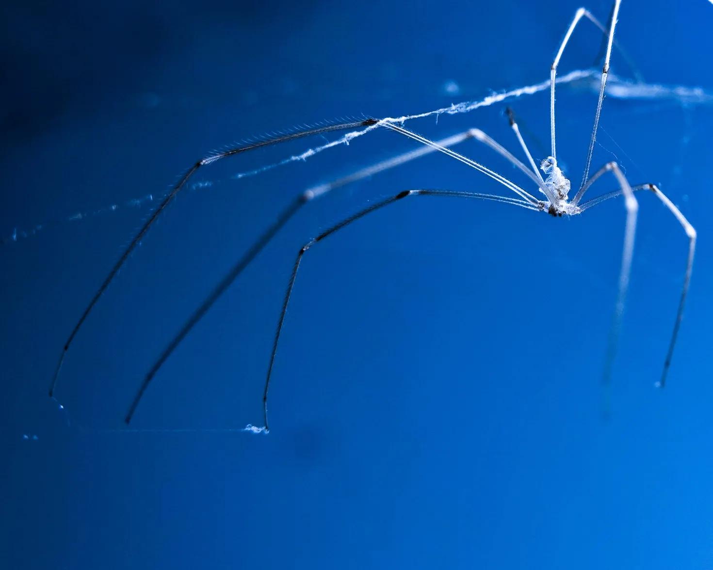 [索尼黑卡]索尼的黑卡，1和2哪个好？