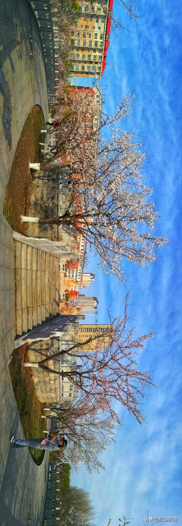 早上江边风景发朋友圈的句子?:江边风景图片 早上江边风景发朋友圈的句子?:江边风景图片