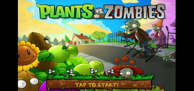 你玩过的第一个网络游戏是什么，有图吗？