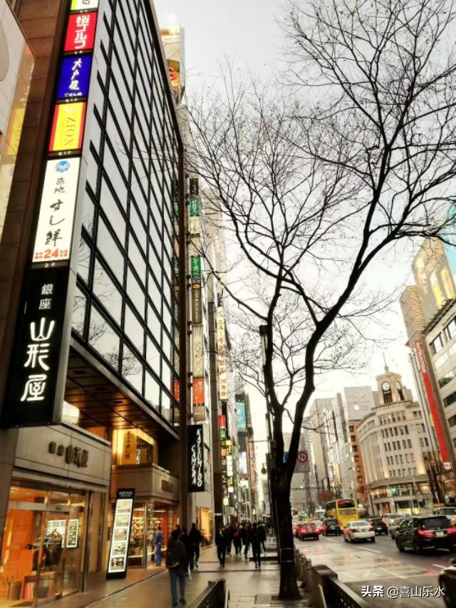 海外生活真实经历，海外生活真实经历视频