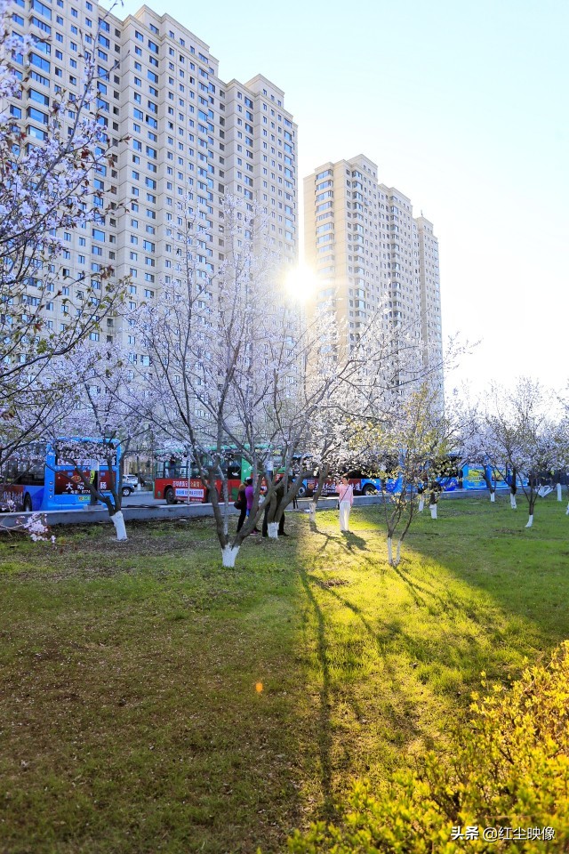 早上江边风景发朋友圈的句子？：江边风景图片