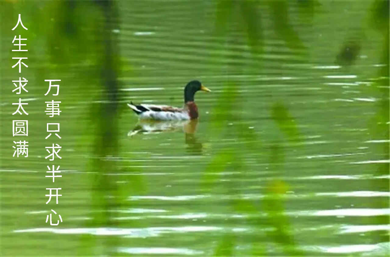怎么破解怎么破解别人的wifi密码并看到密码呢 怎么破解怎么破解别人的wifi密码并看到密码呢