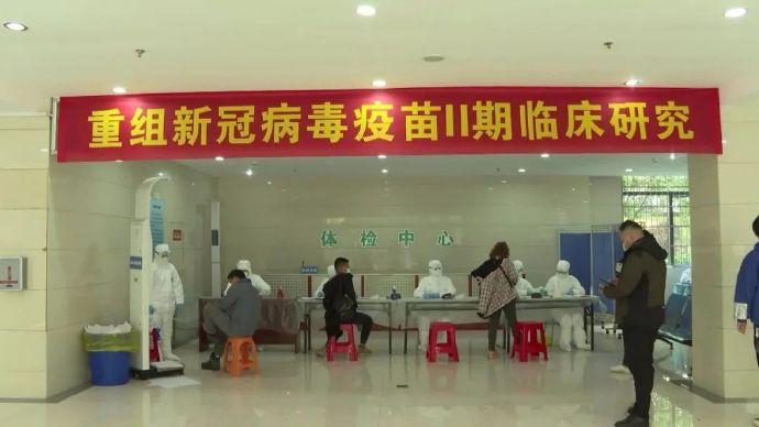 海外生活盒饭怎么做视频，海外生活盒饭怎么做视频教程