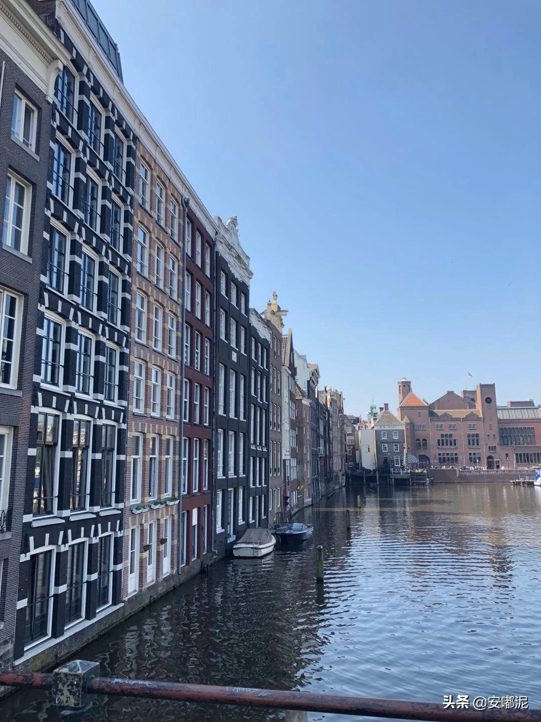 海外生活什么意思英语翻译，海外生活是什么意思