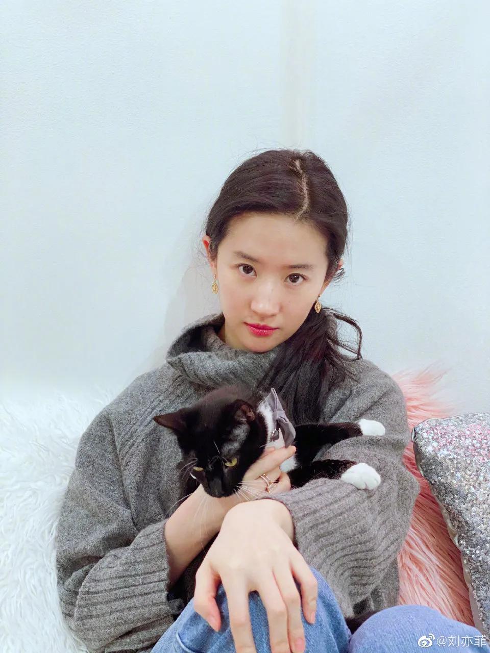 各种女明星化妆技巧
