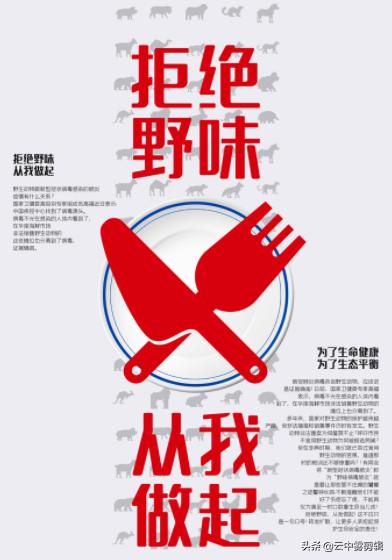 对吃蝙蝠事件你有什么看法？：美国女子误吞蝙蝠
