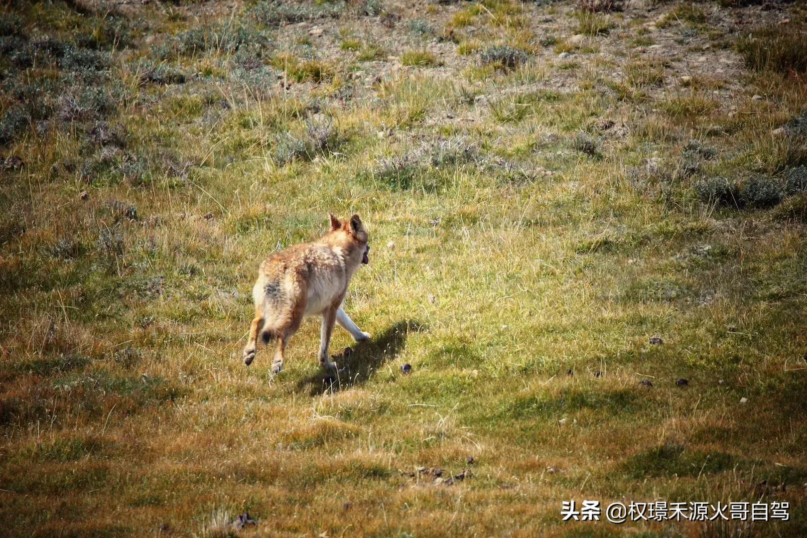 马拉松意外保险理赔范围外，马拉松买什么保险