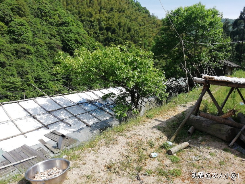大连市小叶姐美容院怎么样