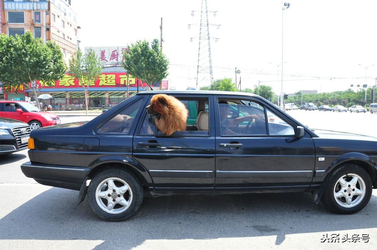 上海大众 桑塔纳