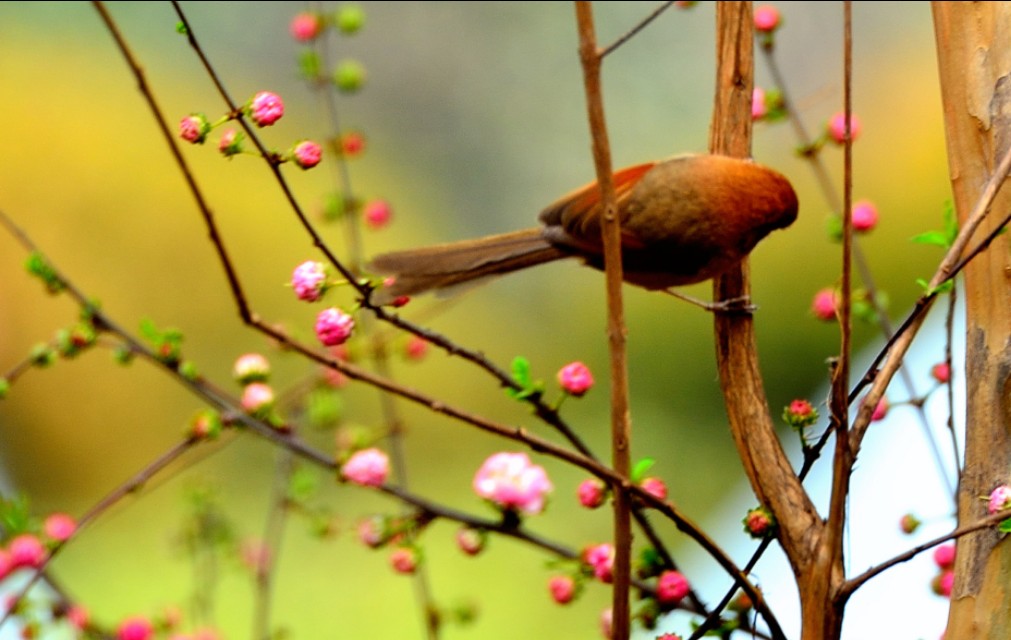 照相机品牌照相机品牌排行榜前十名 照相机品牌照相机品牌排行榜前十名