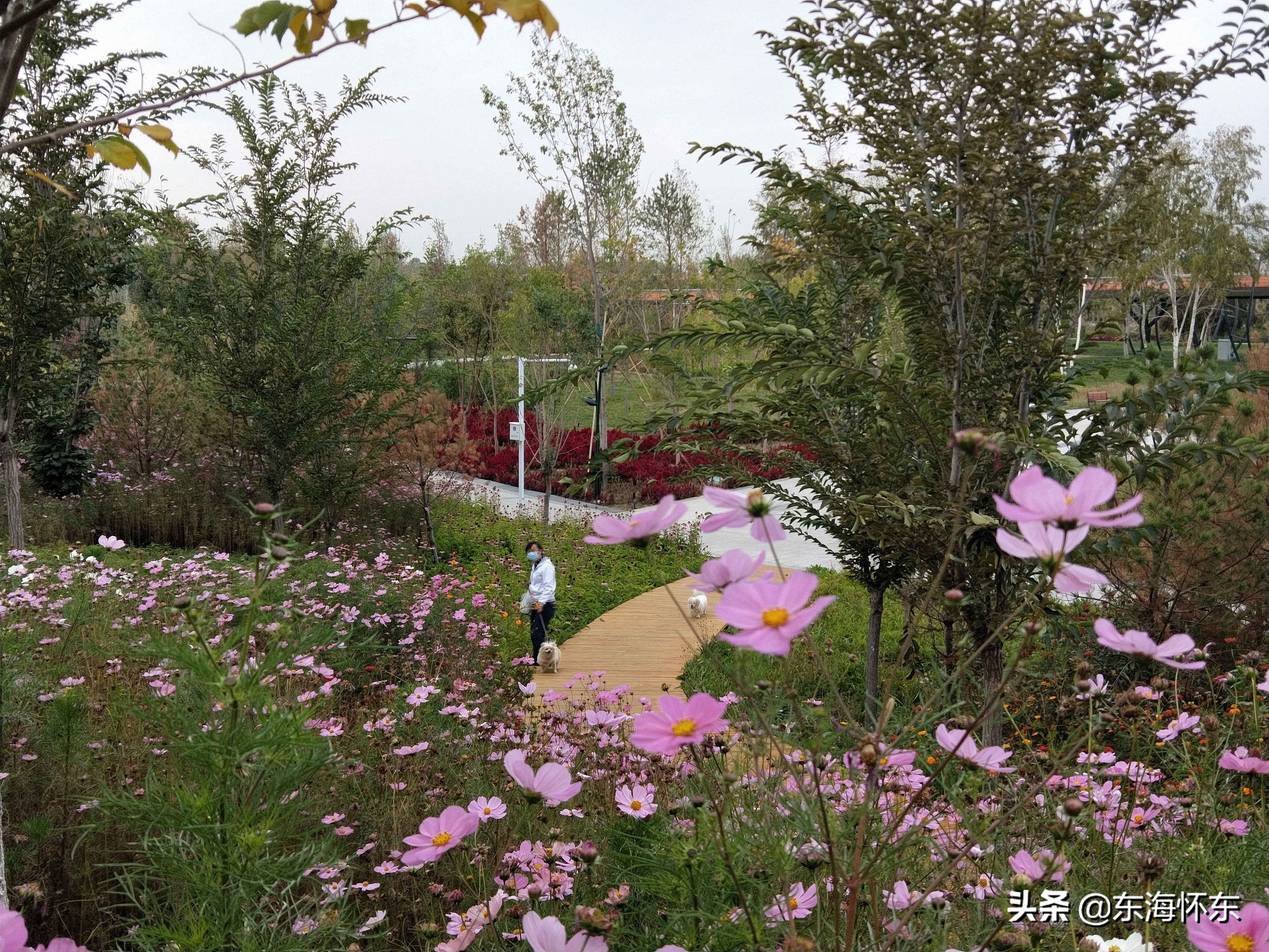 小女孩海外生活照图片，小女孩海外生活照图片大全