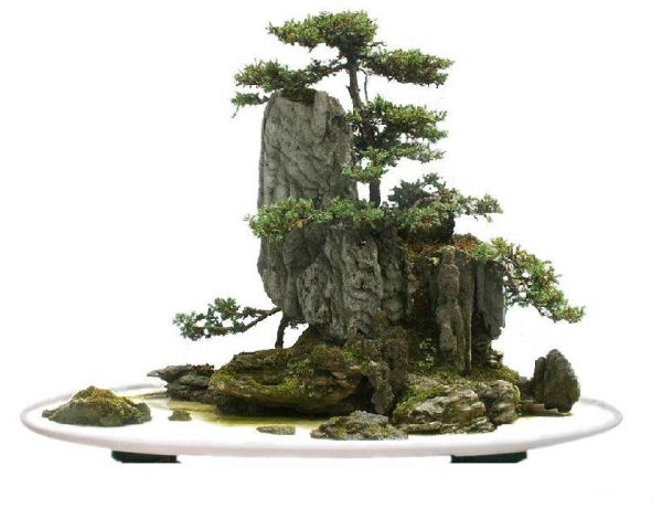 展台搭建网站设计教程视频