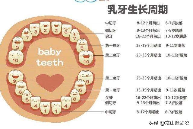 法律上满十六周岁怎么算？：3岁女童16楼坠亡