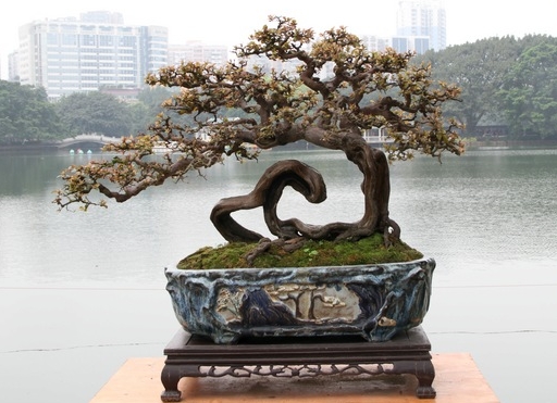 展台搭建网站设计教程视频