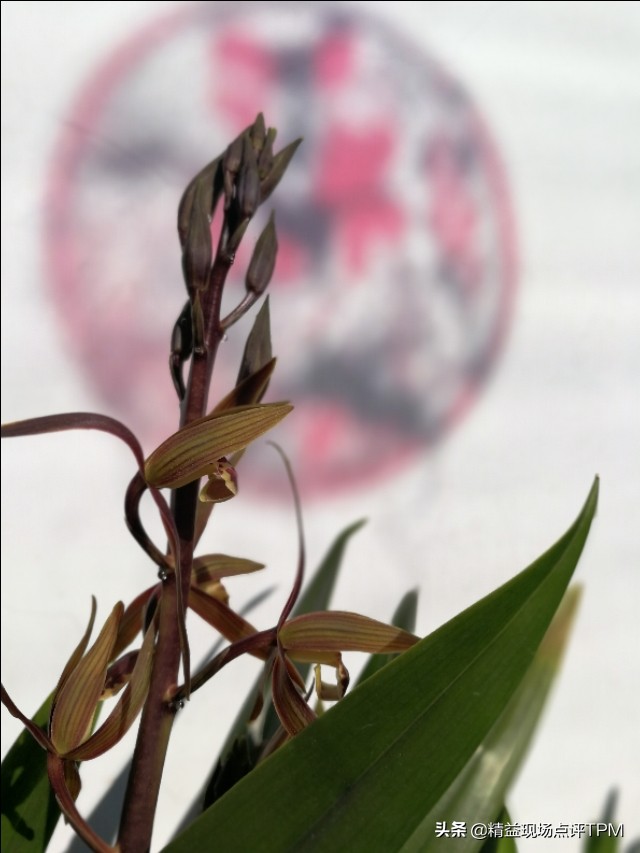 公司要求自行隔离14天，期间工资怎么算？