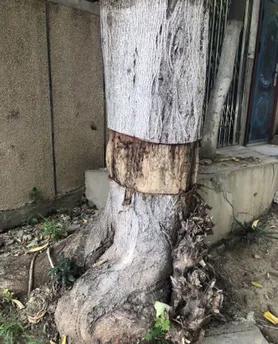 [死的方法]死忌要如何拜祭？