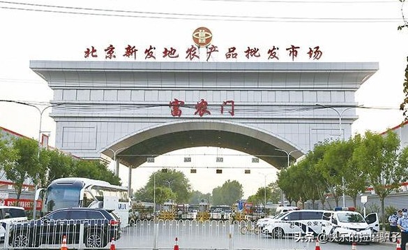 36岁如何去海外生活工作，36岁如何去海外生活工作呢