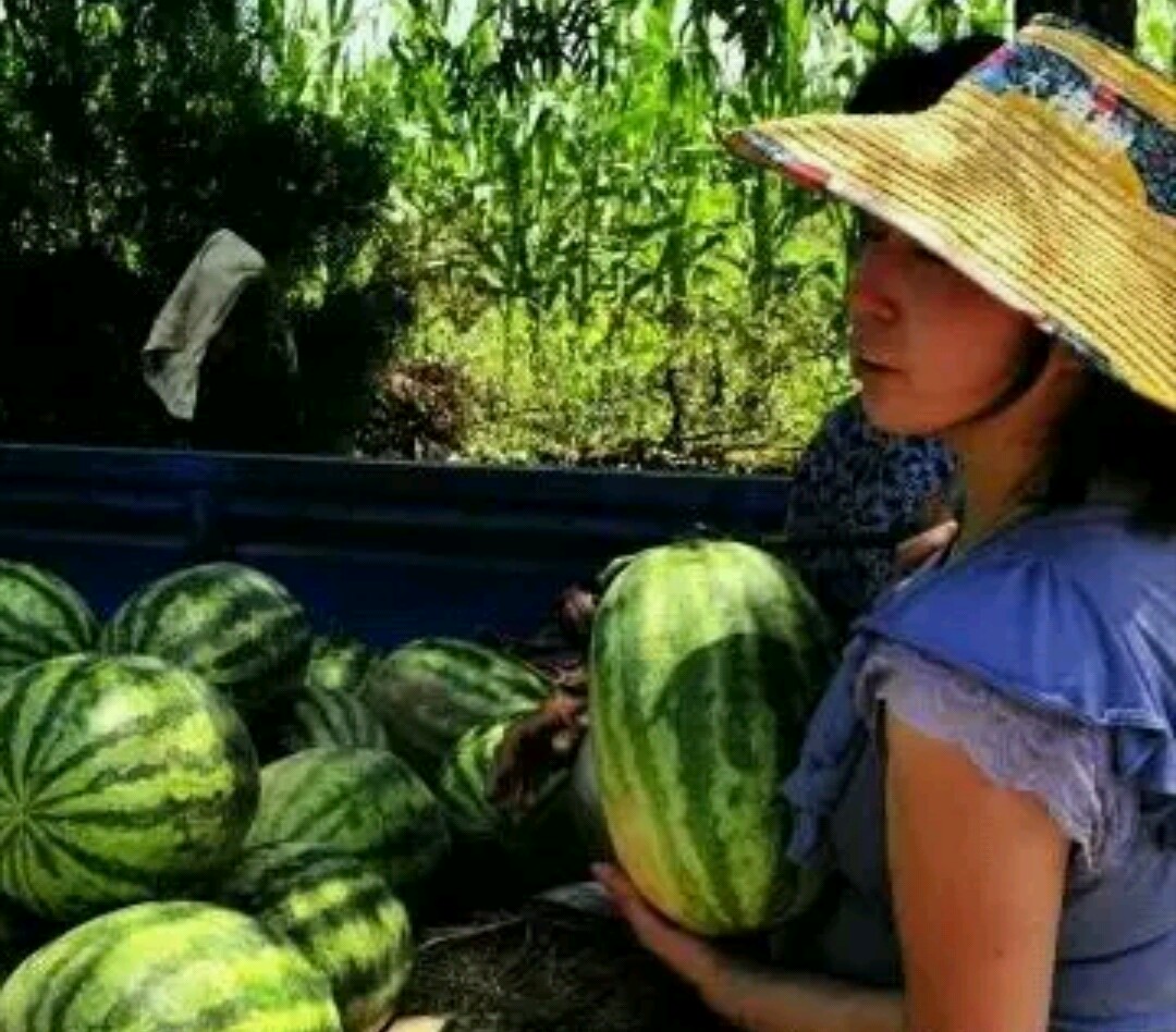 中国有12亿人口在生存线上挣扎,这句话是真是假? 中国有12亿人口在生存线上挣扎,这句话是真是假?