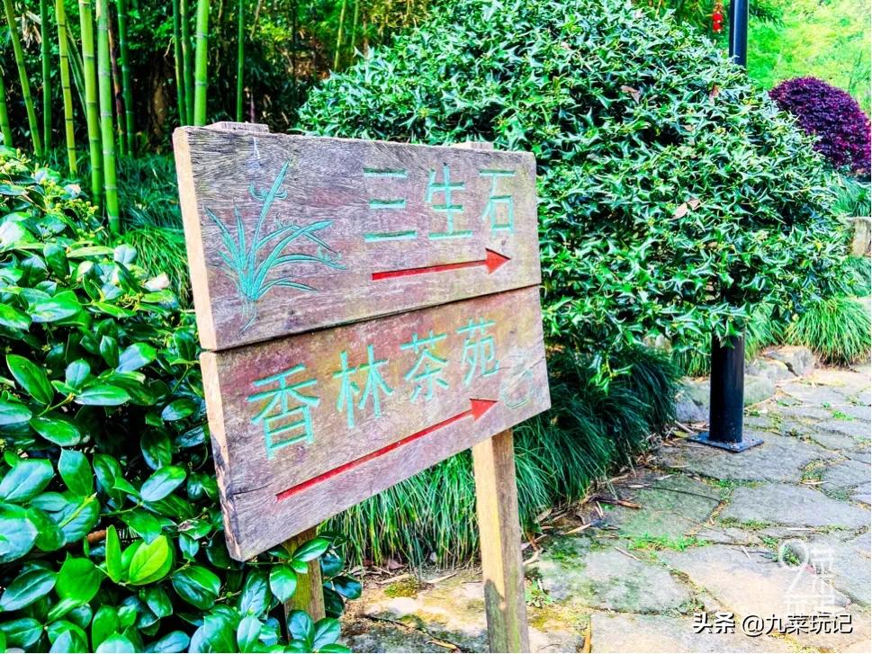 三生石是什么？