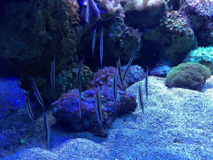 海外生活拍摄现场图片大全，海外生活拍摄现场图片大全集