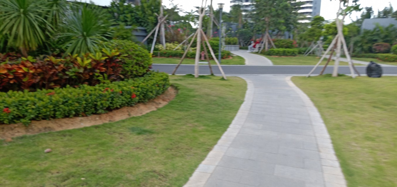 哈尔滨降价汽车报价,哈尔滨降价汽车报价表