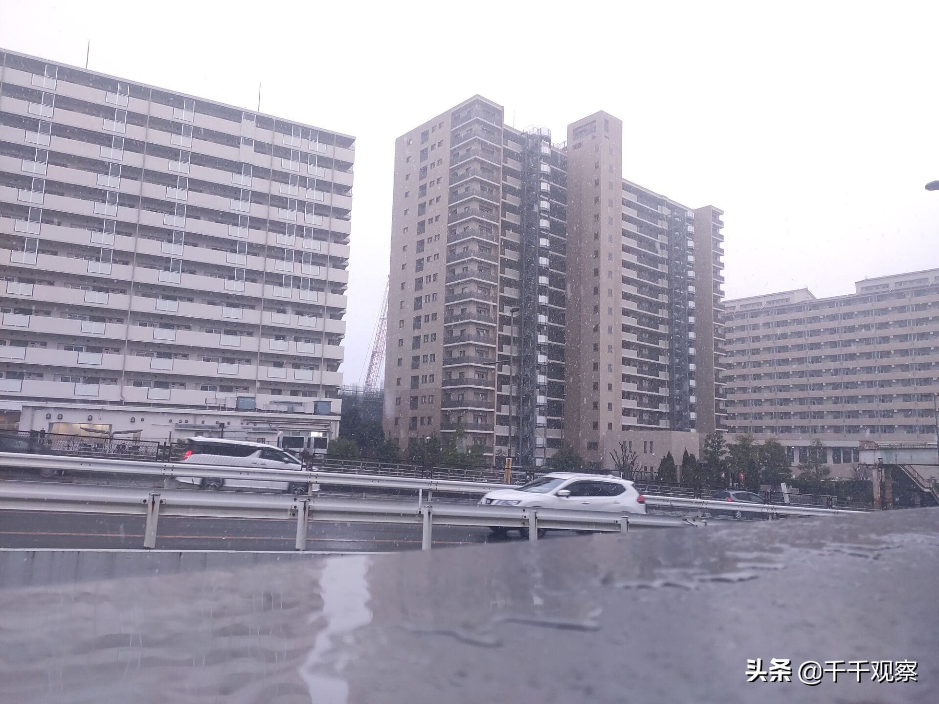 华为怎么查看流量密码？：毛孩子成新流量密码