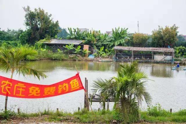 2021年方兴湖允许钓鱼吗？