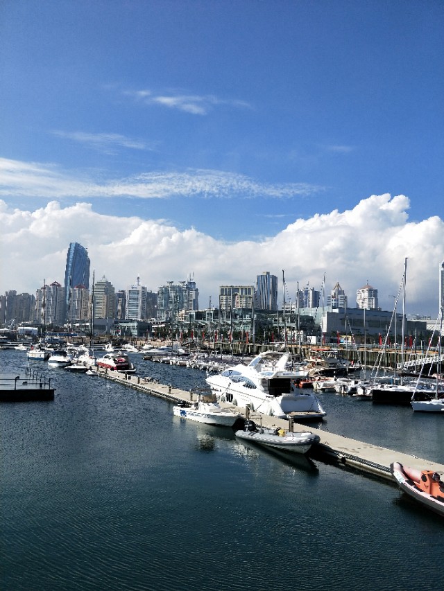 海外生活抓大鲍鱼吃的视频，海外生活抓大鲍鱼吃的视频大全