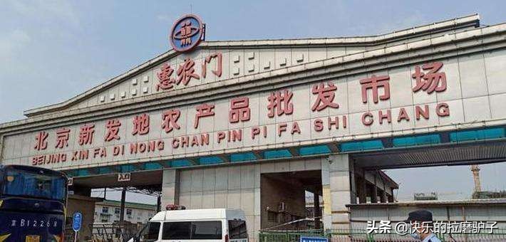 36岁如何去海外生活工作，36岁如何去海外生活工作呢