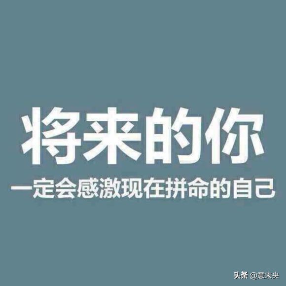怎么用用环境搭建网站