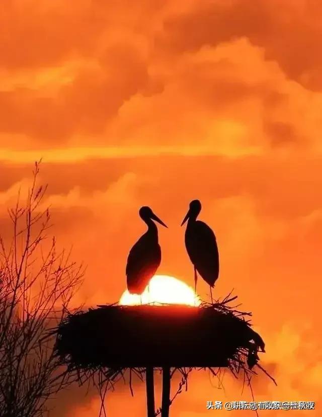 福利吧论坛福利吧论坛fl 福利吧论坛福利吧论坛fl