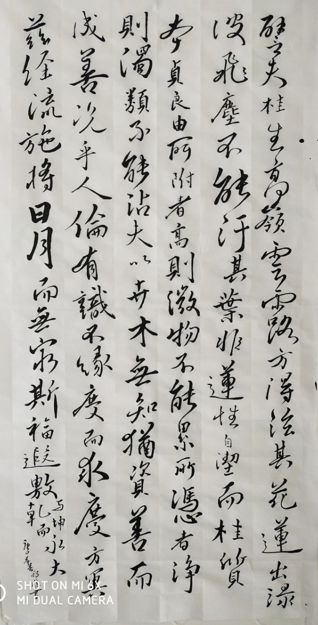 草书练字体推荐字帖最新