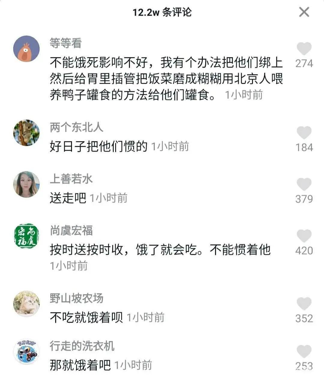 海外生活盒饭怎么做视频，海外生活盒饭怎么做视频教程