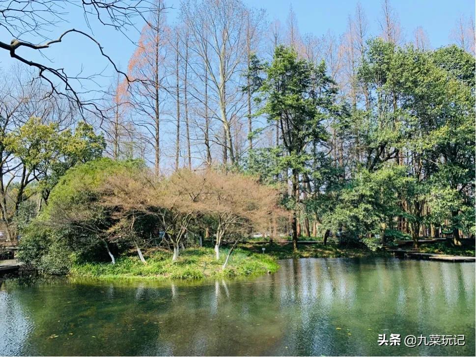 杭州的太子湾公园好玩吗？是否值得周末去玩？