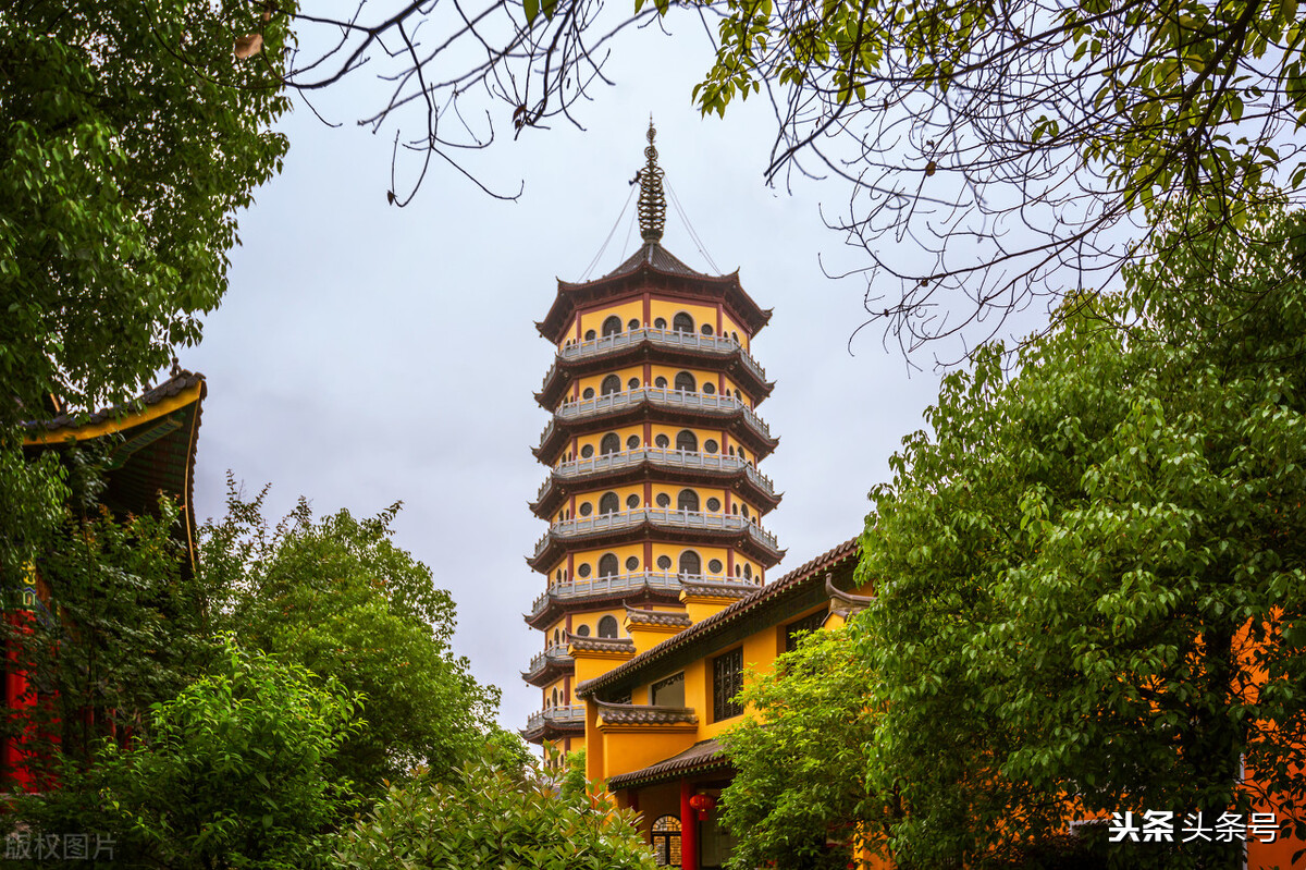 合肥常住人口2021总人数多少？
