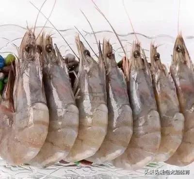 大连市卫健委是什么单位 大连市卫健委是什么单位