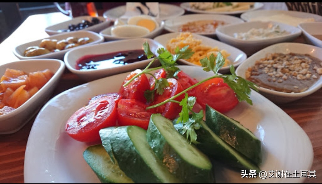 海外生活哪家机构比较好，海外生活哪家机构比较好一点