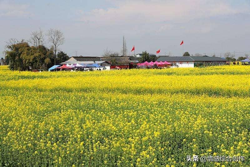 共享租房app开发