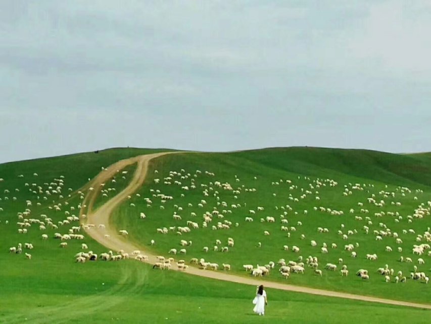 境外旅行险哪个好，旅行险最建议买的三个险种